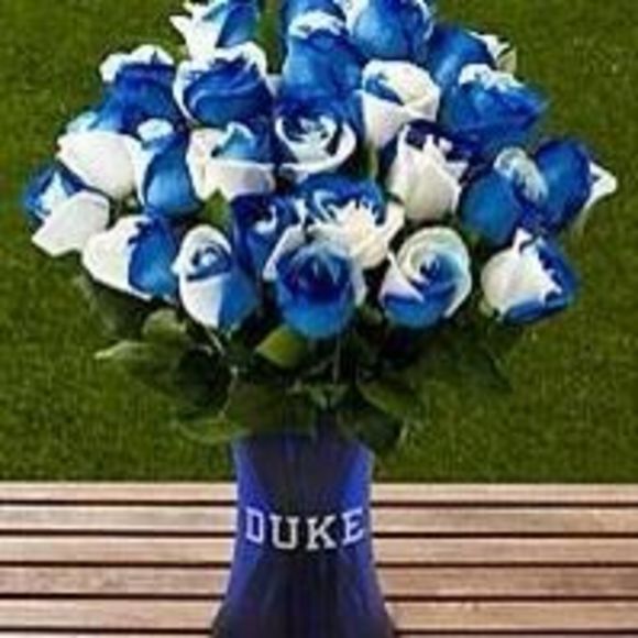 Meet your Posher, Sidney - Picture 1 of 1